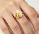 SZ03R0006-1-4.webp