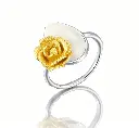 SZ03R0006-1-2.webp
